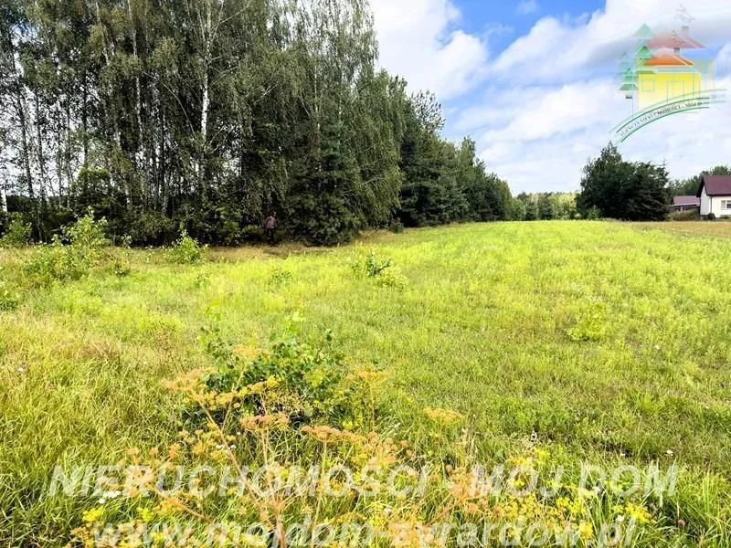 terrain à vendre à Petrykozy | 16 975 m²