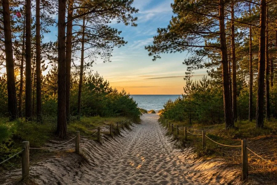 Apartament Inwestycyjny Saltic Łeba | condohotel |
