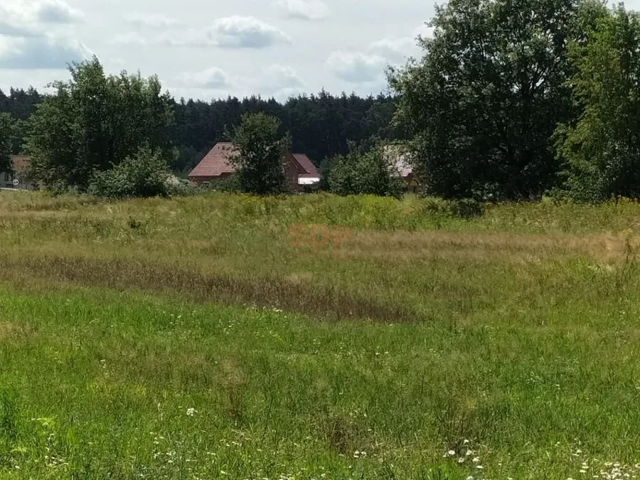 12.554 m2, siedliskowa (inwestycyjna)