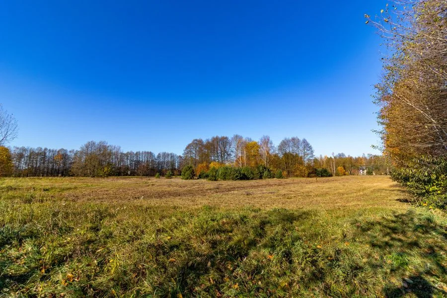 Działka budowlana blisko natury | Stare Krasnodęby