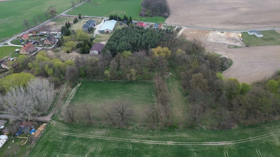 plot for sale in Grzebielin | 34,600 m²