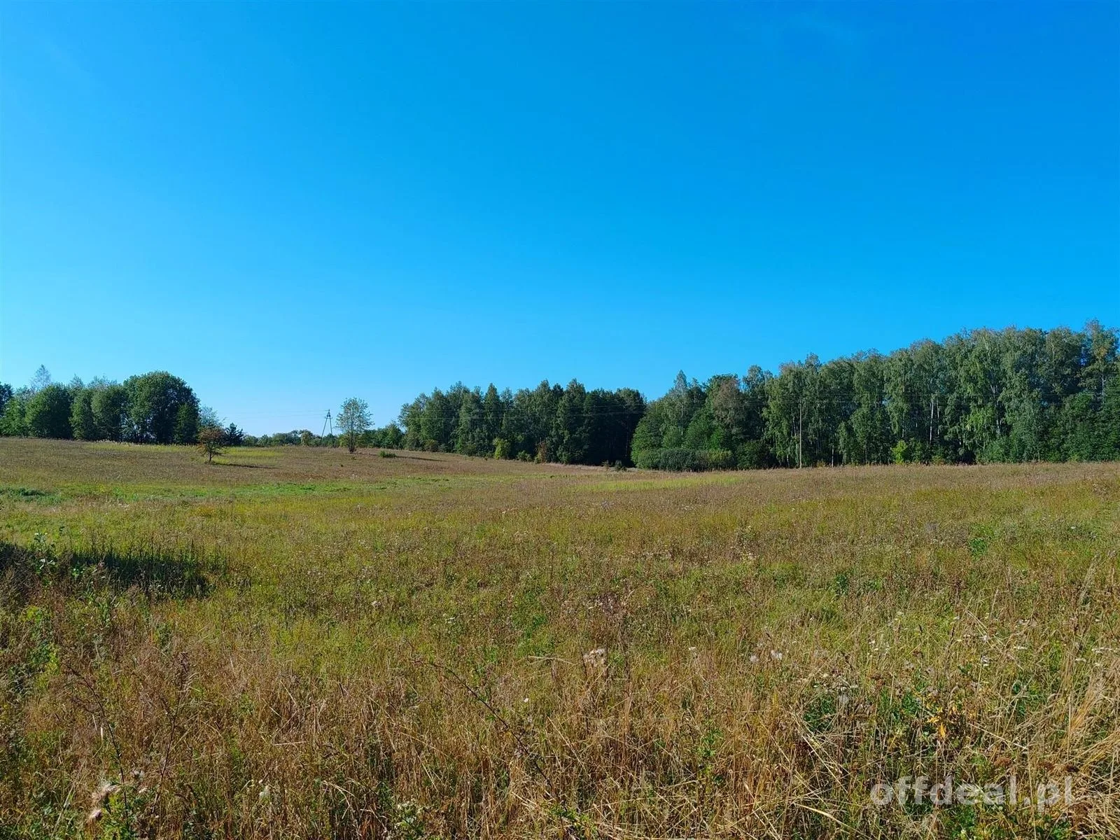 plot for sale in Ełk, Rękusy | 1,000 m²