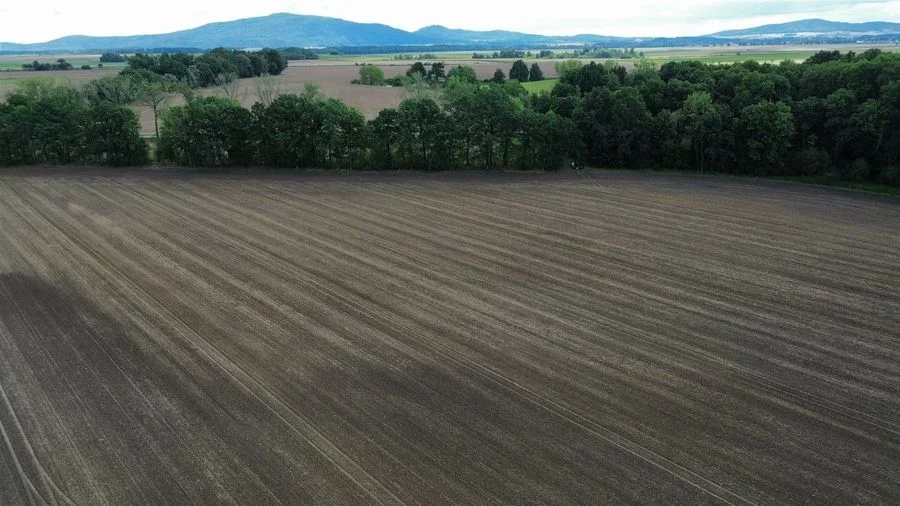 plot for sale in Krasków | 111,500 m²
