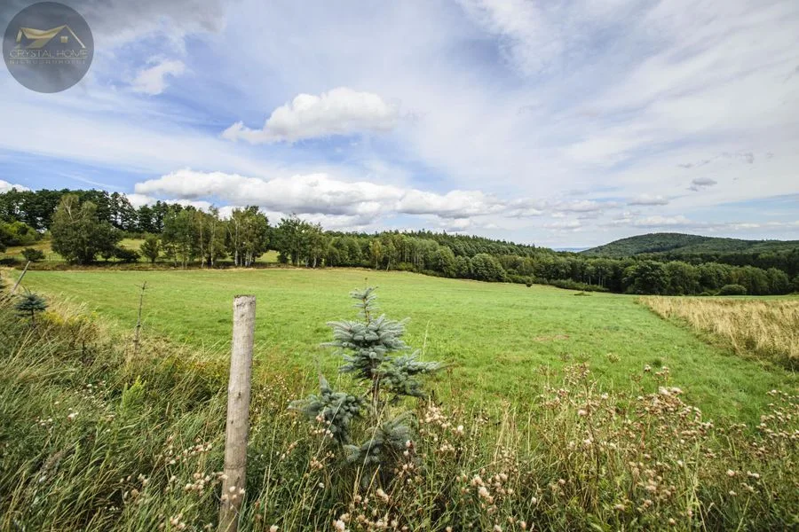 MICHAŁKOWA | GÓRY, CISZA, SPOKÓJ, PIĘKNE TERENY