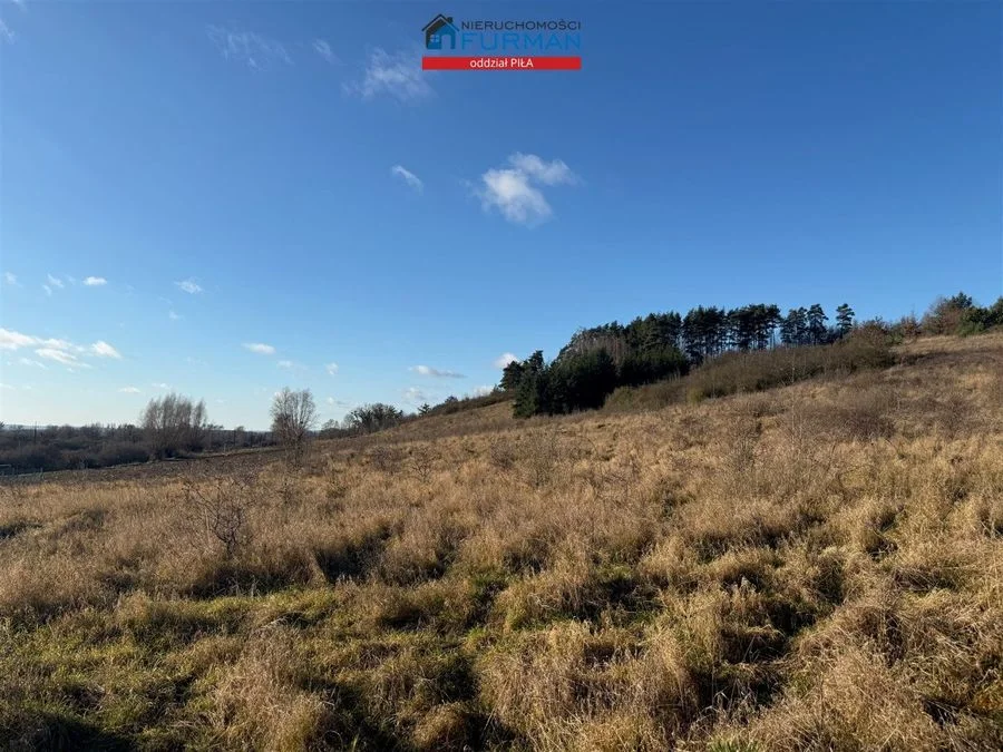 terrain à vendre à Wolsko Górne | 7 539 m²