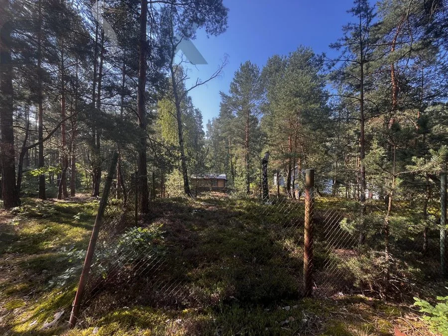 Leśna działka na Wydmach Międzyborowskich  2221 m2 - bez prowizji