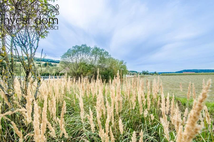Cisza Łemkowszczyzny. Beskid Niski w swojej najczystszej postaci.