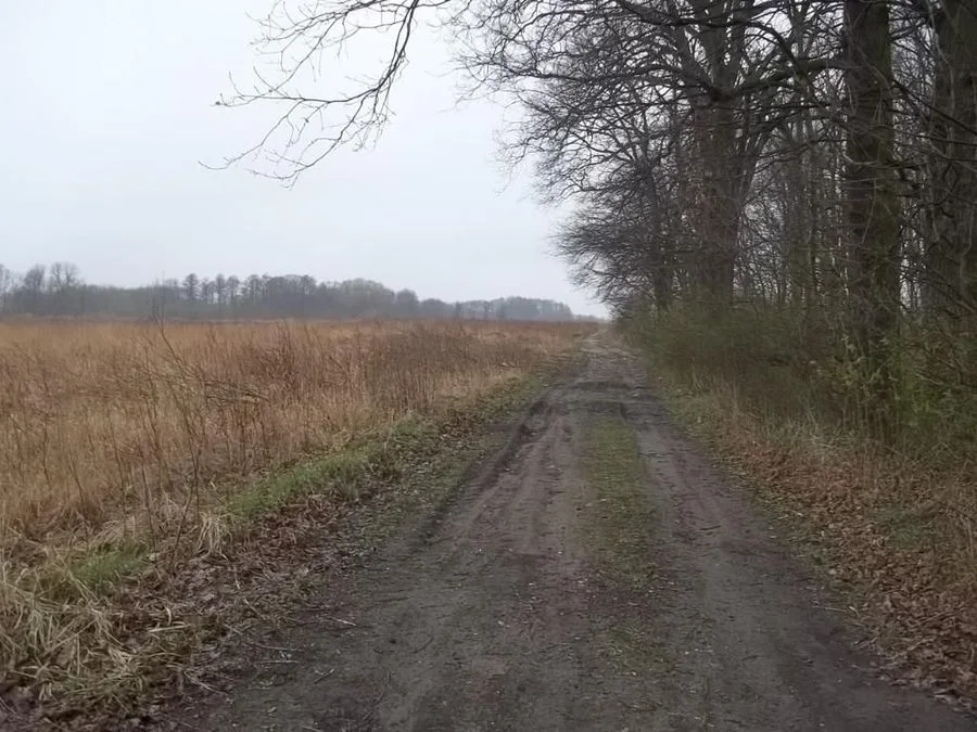 terrain à vendre à Wilczyce | 12 000 m²