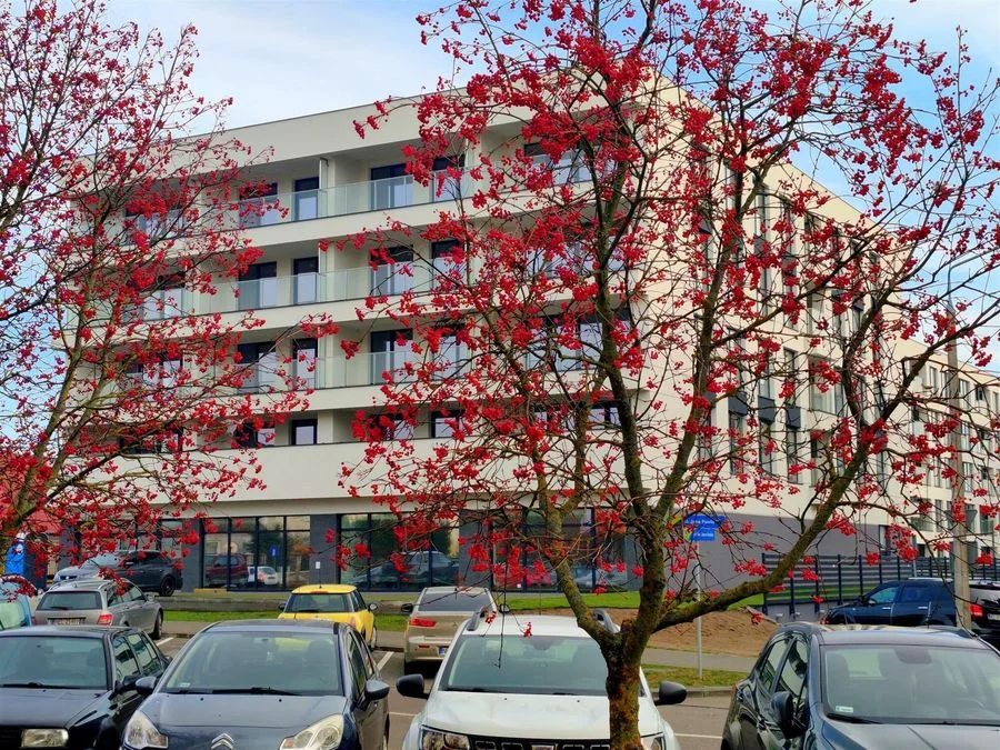 appartement à vendre à Ełk, Osiedle Jeziorna | 3 pièces | 58,83 m²