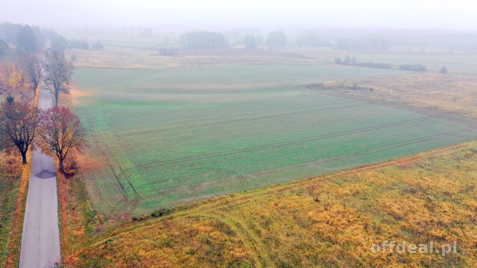plot for sale in Dziubiele | 59,763 m²