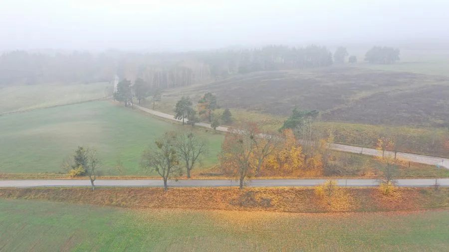 plot for sale in Dziubiele | 59,763 m²