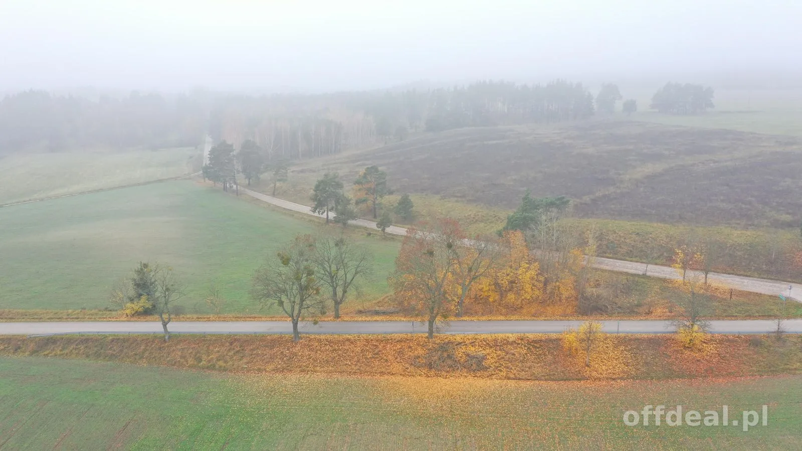plot for sale in Dziubiele | 59,763 m²