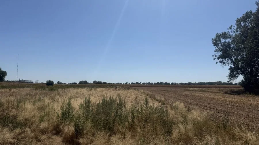 działki budowalne Szukalice gm.Żórawina