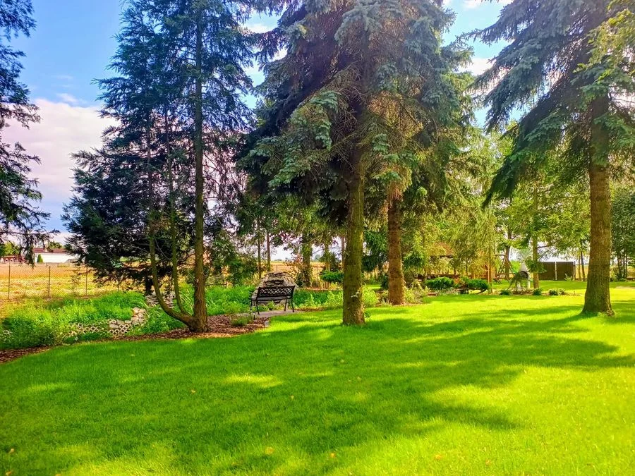 Gewerbeimmobilie zum Verkauf in Próba | 500 m²
