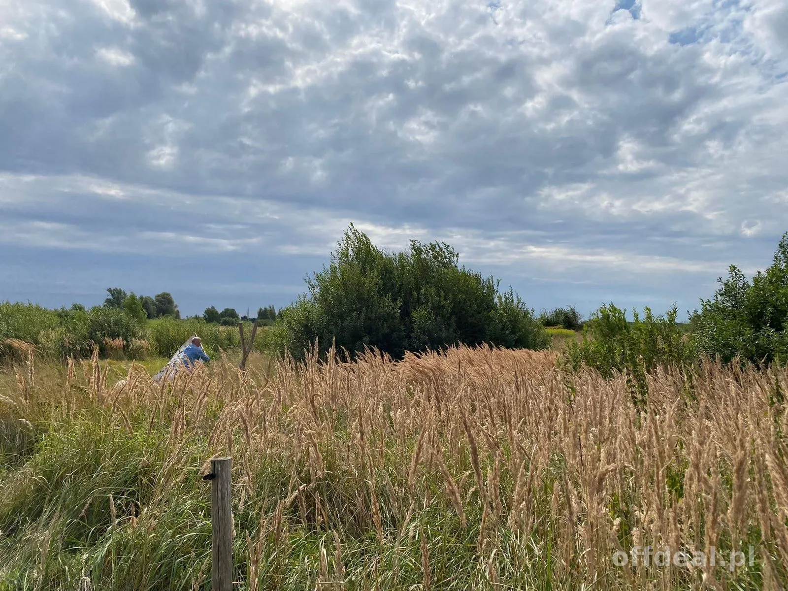 ділянка на продаж у Stary Borek | 17 598 m²