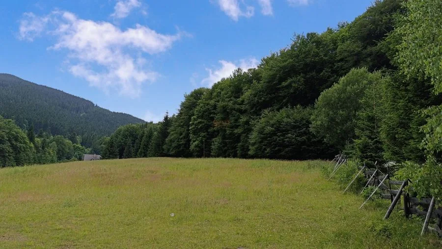 Działka MN/UT 13.890 m2 przy Jaskini Niedźwiedziej