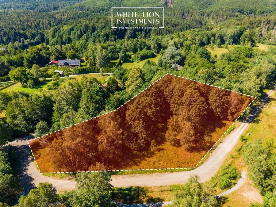 ділянка на продаж у Studzienno | 6 064 m²
