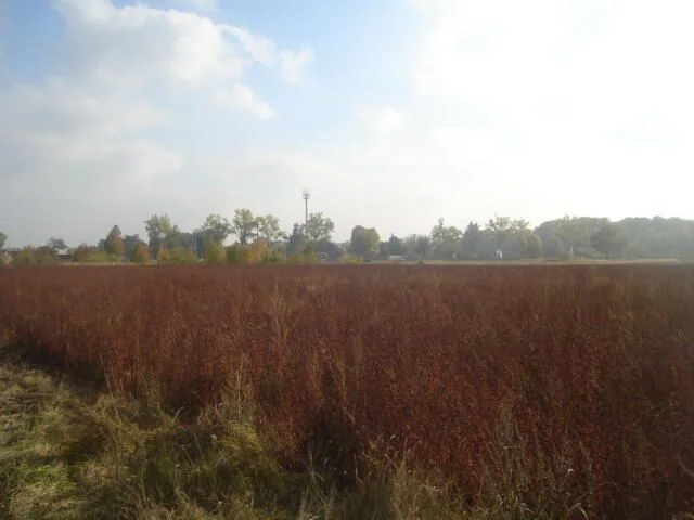 dla inwestora