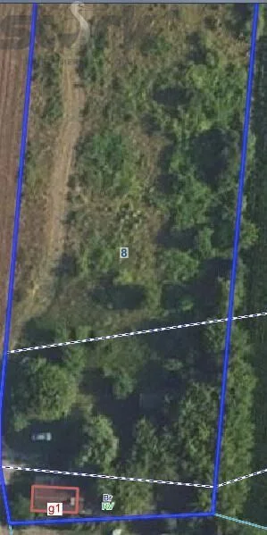 plot for sale in Karolina | 13,000 m²