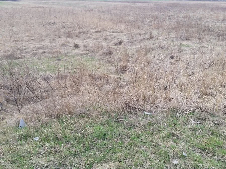 terrain à vendre à Mirków | 40 000 m²