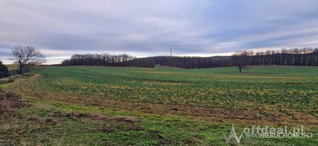 Działki budowlane 916m2 do 2615m2|mpzp|kanalizacja