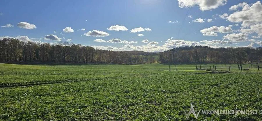 Działki budowlane 916m2 do 2615m2|mpzp|kanalizacja