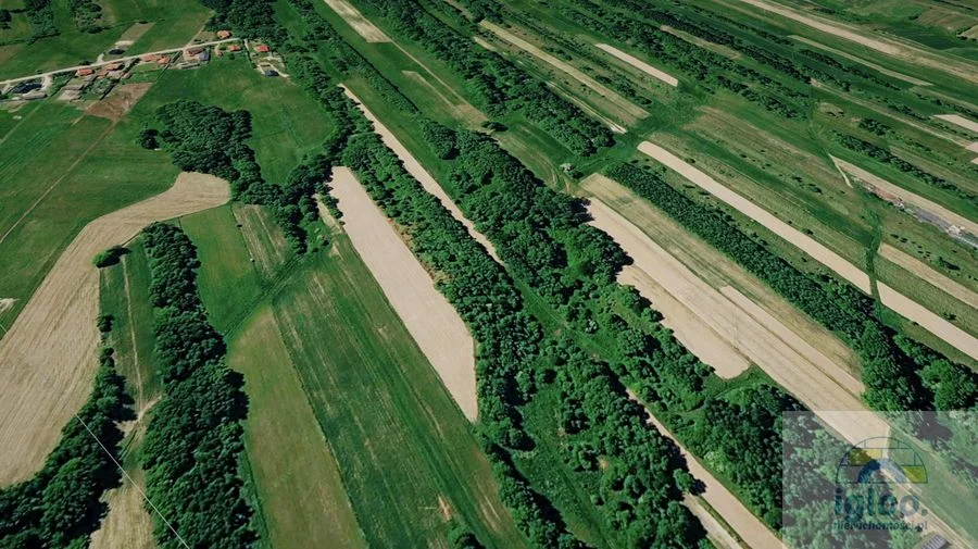 Działka 25000m² - Masłów - Brzezinki - Inwestycyjna - Budowlana