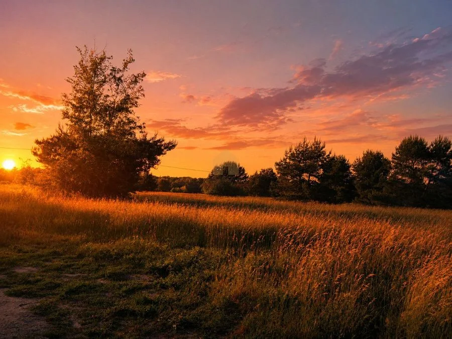 Działki budowlane Niemstów | gm. Lubin | MPZP