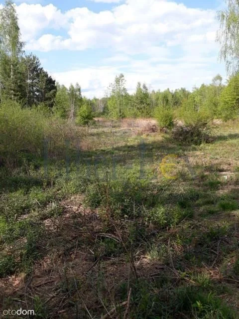 ділянка на продаж у Szumlin | 9 100 m²