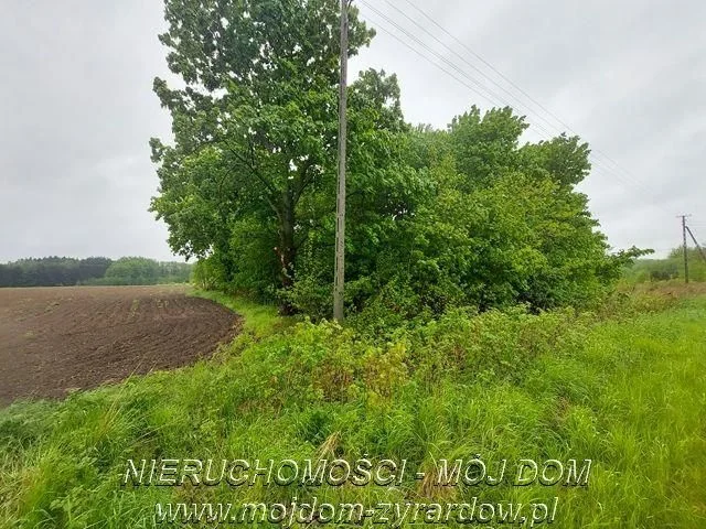 Grundstück zum Verkauf in Adamowice | 11.200 m²