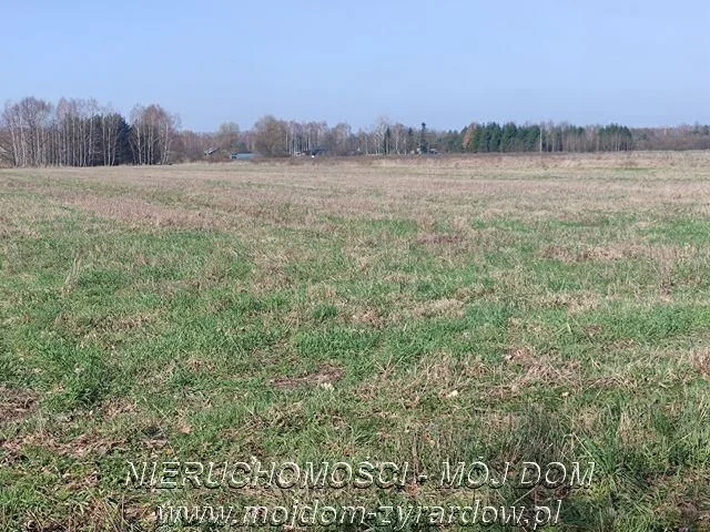 Duża działka w Studzieńcu