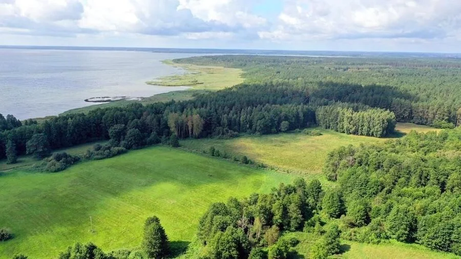 plot for sale in Dziubiele | 15,433 m²