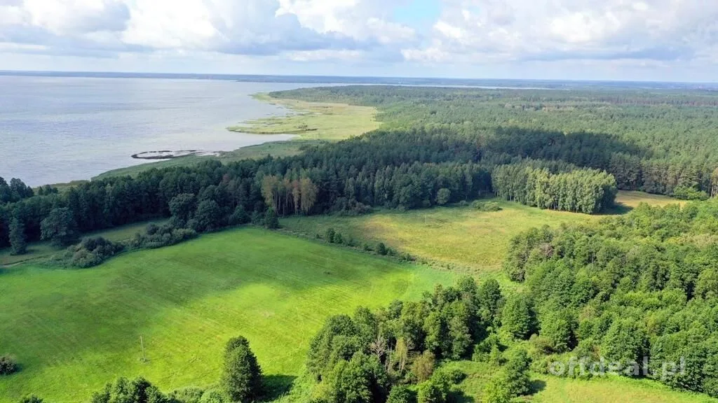 plot for sale in Dziubiele | 15,433 m²