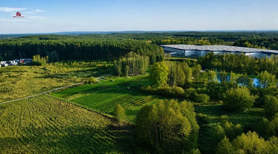 plot for sale in Zielona Góra, Nowy Kisielin | 29,146 m²