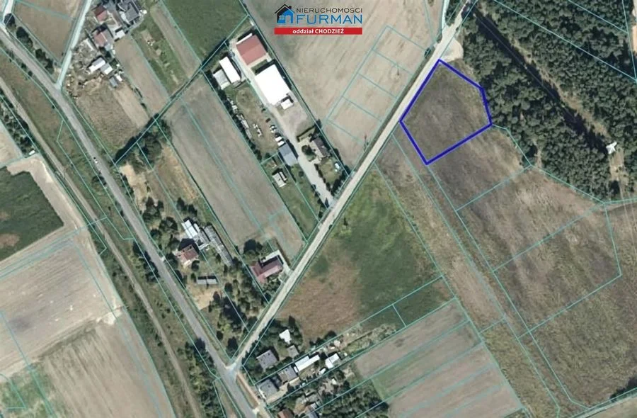terrain à vendre à Chodzież | 3 955 m²