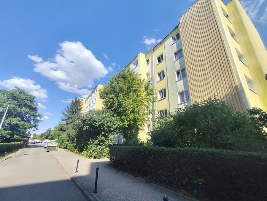 Duże 3 pokoje z balkonem i piwnicą//Bacciarellego!