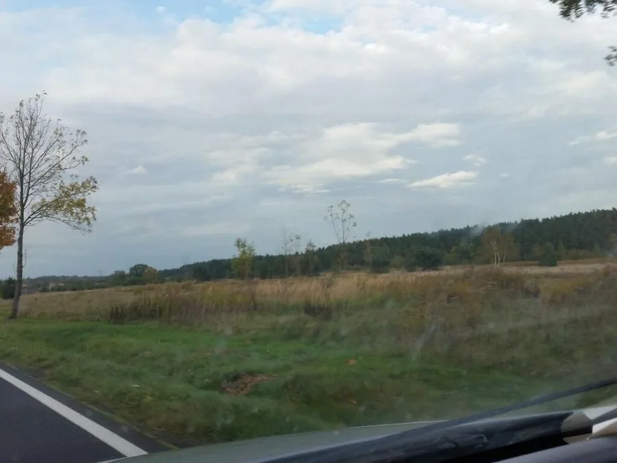 terrain à vendre à Zgorzelec/Węgliniec | 10 700 m²