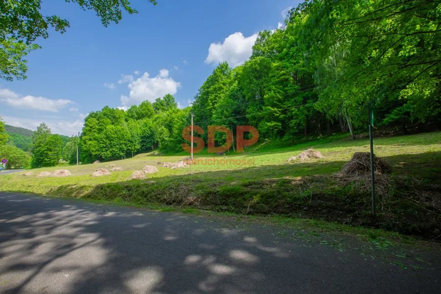 ділянка на продаж у Zagórze Śląskie | 2 300 m²