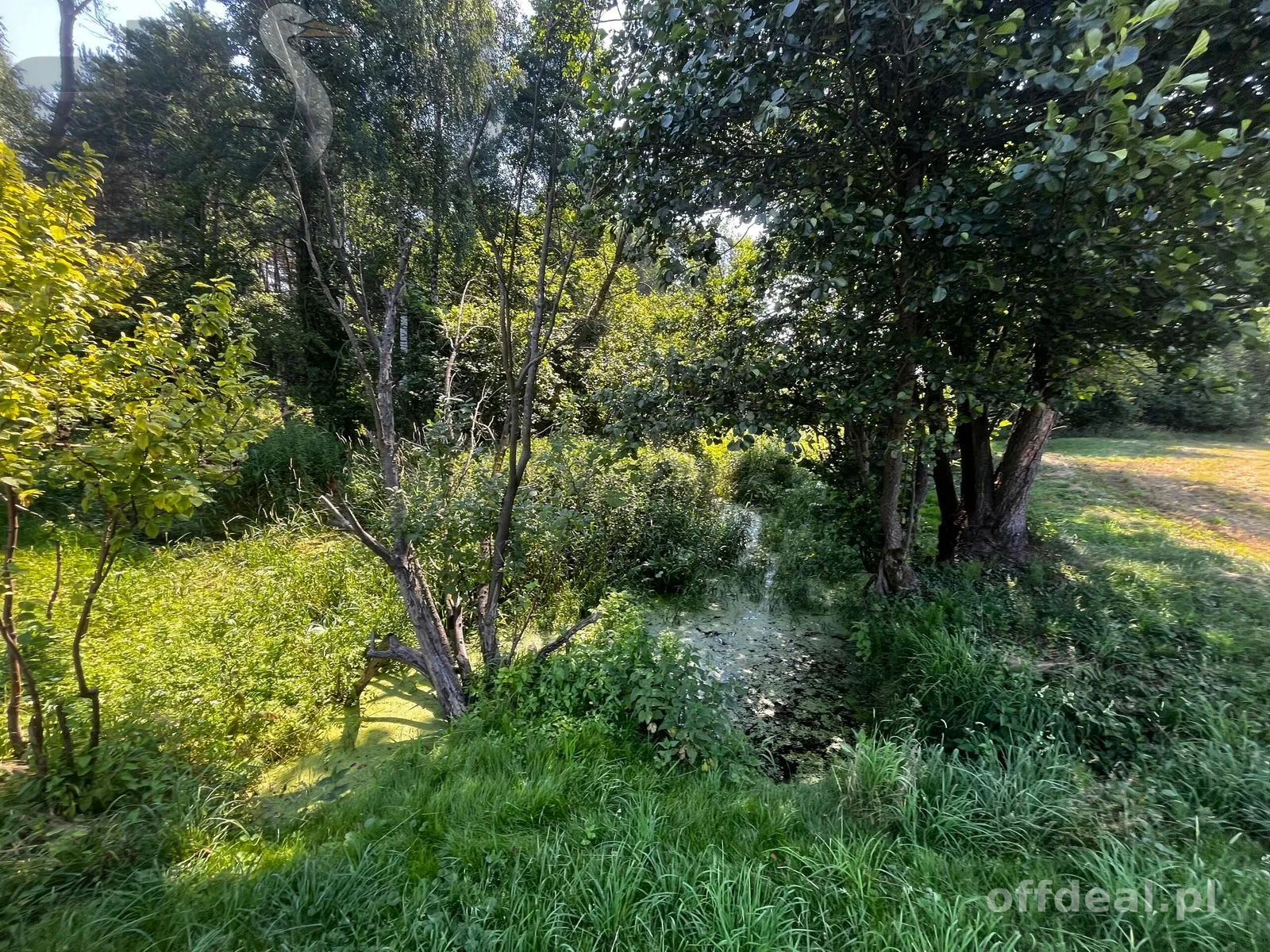 Prywatny park z możliwościa zabudowy/9400m/dostęp do rzeki Zwierzyniec