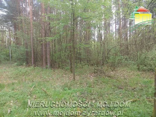 terrain à vendre à Olszanka | 4 020 m²