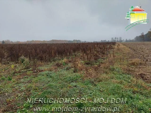 Polecamy działki w Miedniewicach