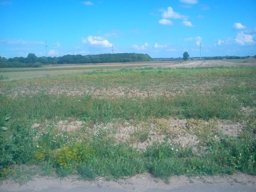 terrain à vendre à Mirków | 17 000 m²