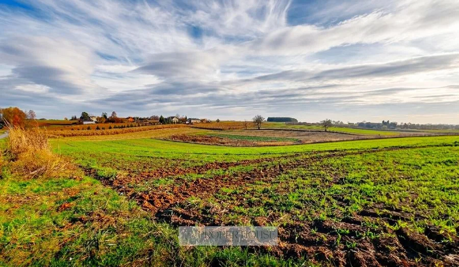 Widokowa działka 54ar w Maszkach – Panorama na wschody słońca i naturę