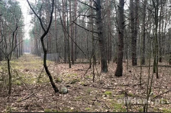 Sprzedam super działkę inwestycyjno-budowlaną .