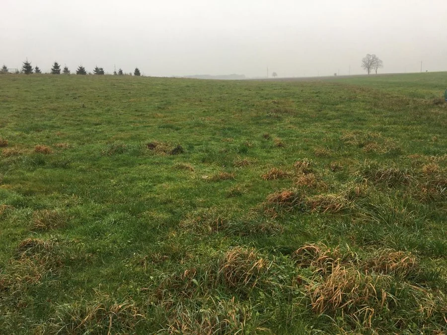 ділянка на продаж у Bogucino | 10 060 m²