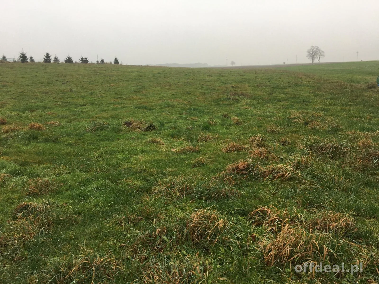 ділянка на продаж у Bogucino | 10 060 m²
