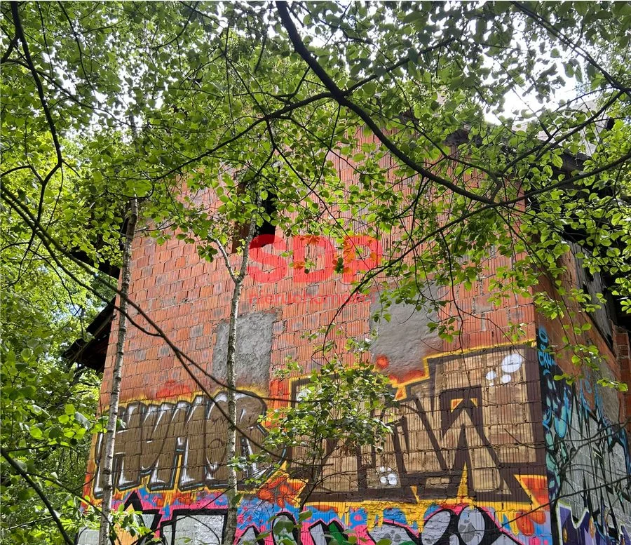 Grunt inwestycyjny 18 821 m² | 4 działki | Łódź ul. Denna | WZiZT w trakcie