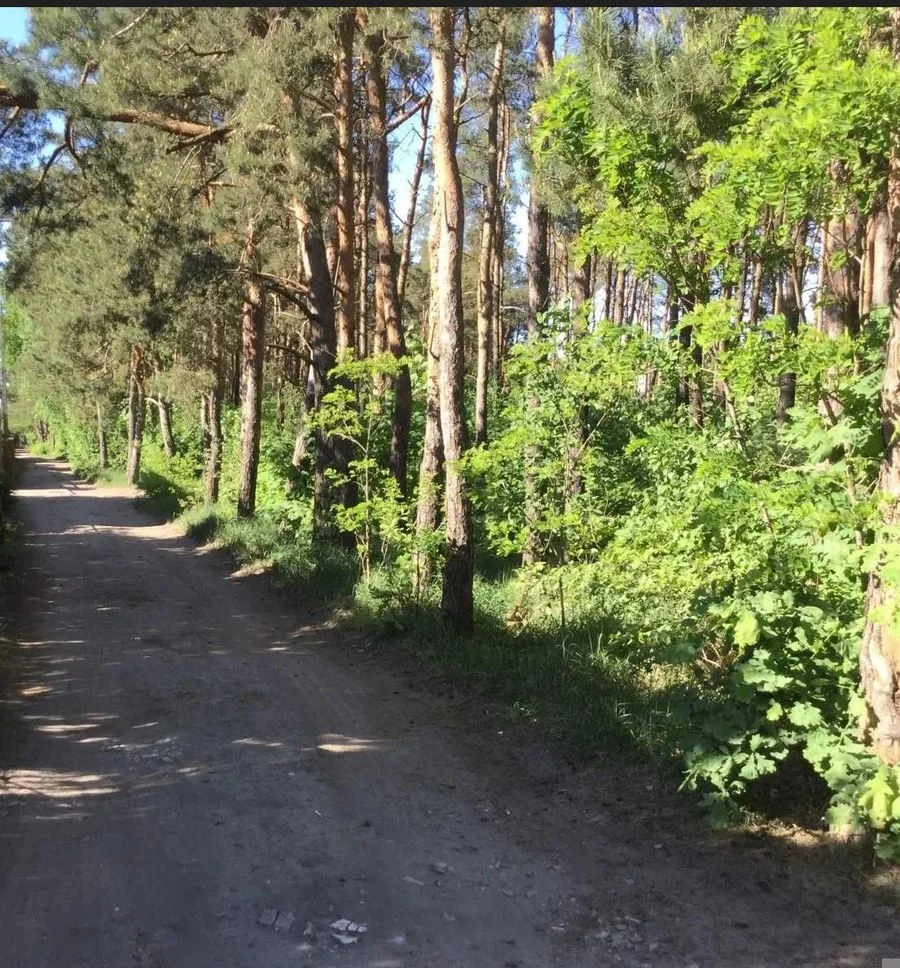 terrain à vendre à Warszawa, Wawer, Międzylesie | 2 000 m²