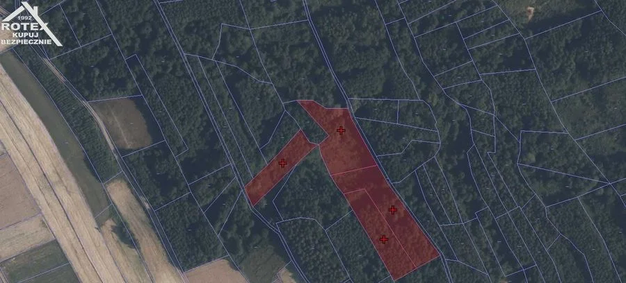 plot for sale in Niedźwiada | 10,000 m²