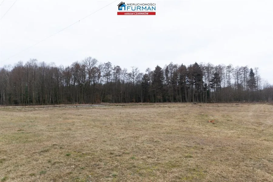 działka na sprzedaż w Klempiczu gmina Lubasz